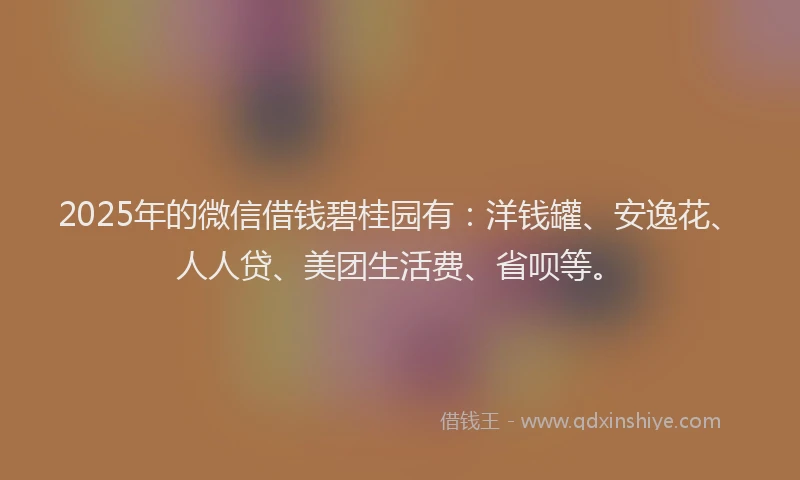 2025年的微信借钱碧桂园有：洋钱罐、安逸花、人人贷、美团生活费、省呗等。