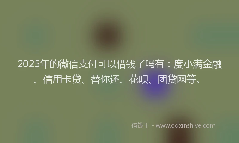 2025年的微信支付可以借钱了吗有：度小满金融、信用卡贷、替你还、花呗、团贷网等。