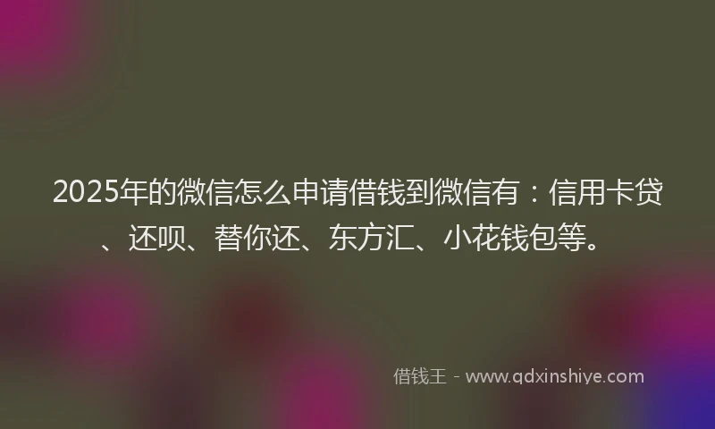 2025年的微信怎么申请借钱到微信有：信用卡贷、还呗、替你还、东方汇、小花钱包等。