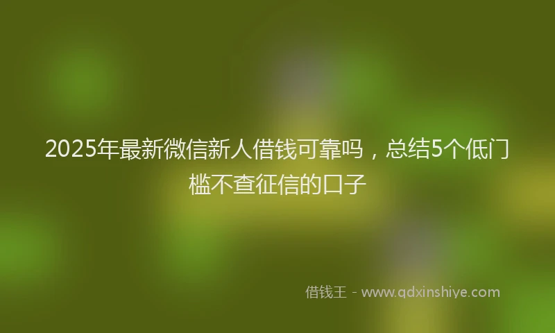 2025年最新微信新人借钱可靠吗，总结5个低门槛不查征信的口子