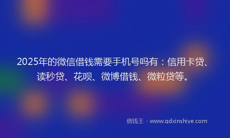 2025年的微信借钱需要手机号吗有：信用卡贷、读秒贷、花呗、微博借钱、微粒贷等。