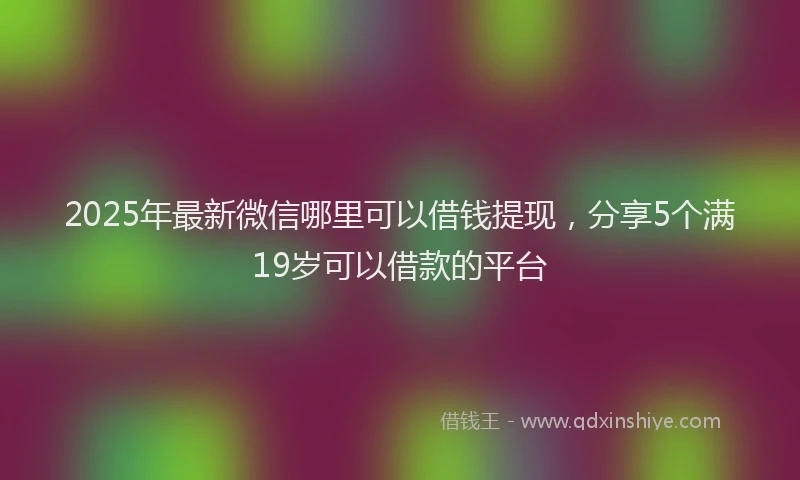 2025年最新微信哪里可以借钱提现，分享5个满19岁可以借款的平台