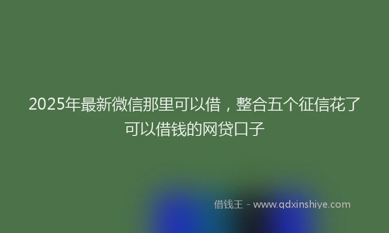 2025年最新微信那里可以借，整合五个征信花了可以借钱的网贷口子