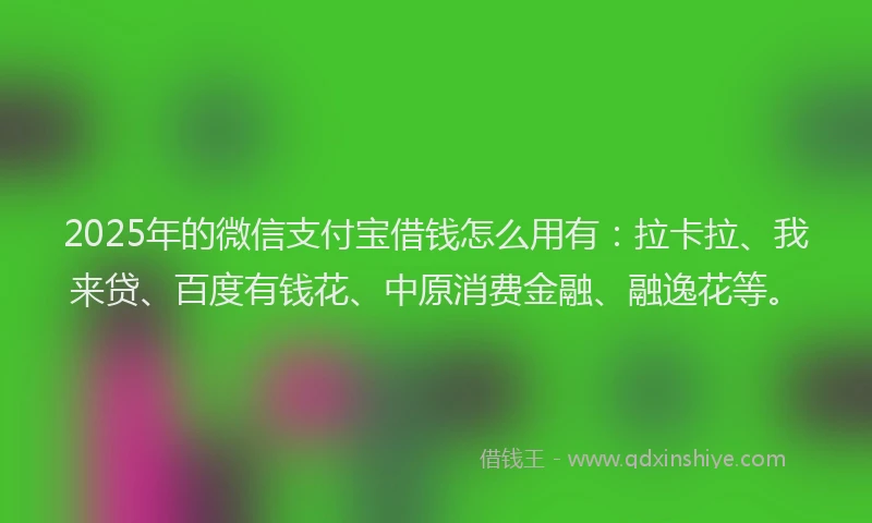 2025年的微信支付宝借钱怎么用有：拉卡拉、我来贷、百度有钱花、中原消费金融、融逸花等。