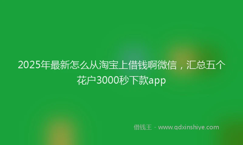 2025年最新怎么从淘宝上借钱啊微信，汇总五个花户3000秒下款app