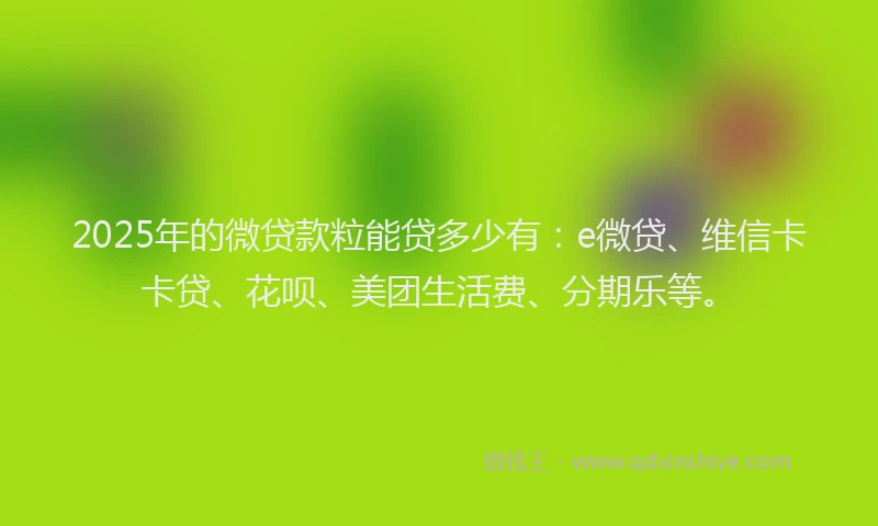 2025年的微贷款粒能贷多少有：e微贷、维信卡卡贷、花呗、美团生活费、分期乐等。