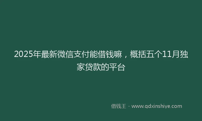 2025年最新微信支付能借钱嘛，概括五个11月独家贷款的平台