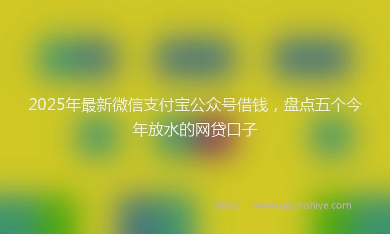2025年最新微信支付宝公众号借钱，盘点五个今年放水的网贷口子