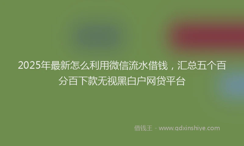 2025年最新怎么利用微信流水借钱，汇总五个百分百下款无视黑白户网贷平台