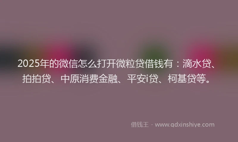 2025年的微信怎么打开微粒贷借钱有：滴水贷、拍拍贷、中原消费金融、平安i贷、柯基贷等。
