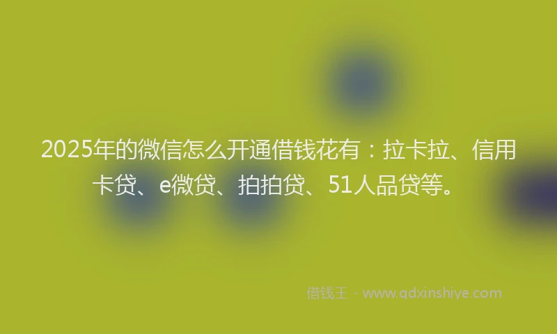 2025年的微信怎么开通借钱花有：拉卡拉、信用卡贷、e微贷、拍拍贷、51人品贷等。