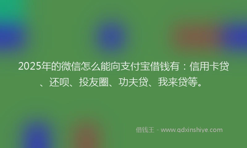 2025年的微信怎么能向支付宝借钱有：信用卡贷、还呗、投友圈、功夫贷、我来贷等。