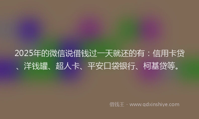 2025年的微信说借钱过一天就还的有：信用卡贷、洋钱罐、超人卡、平安口袋银行、柯基贷等。