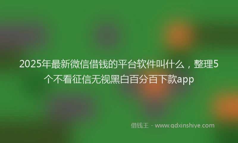 2025年最新微信借钱的平台软件叫什么，整理5个不看征信无视黑白百分百下款app
