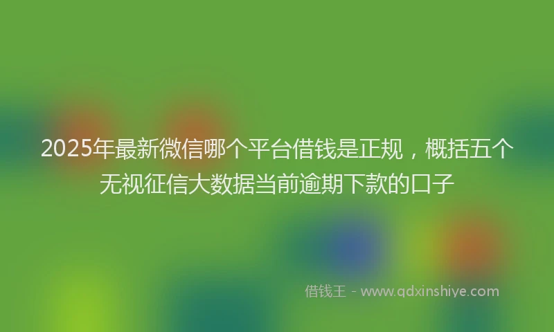 2025年最新微信哪个平台借钱是正规，概括五个无视征信大数据当前逾期下款的口子