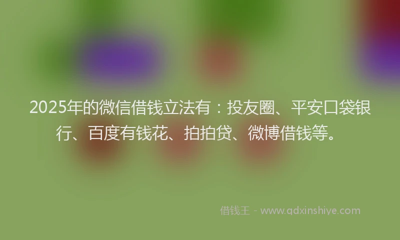2025年的微信借钱立法有：投友圈、平安口袋银行、百度有钱花、拍拍贷、微博借钱等。