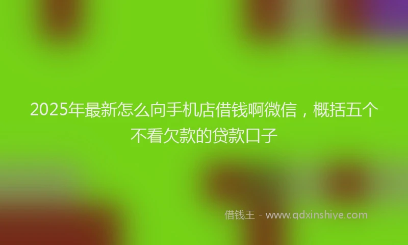2025年最新怎么向手机店借钱啊微信，概括五个不看欠款的贷款口子