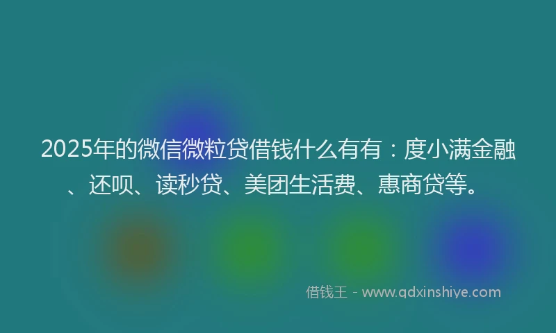 2025年的微信微粒贷借钱什么有有：度小满金融、还呗、读秒贷、美团生活费、惠商贷等。