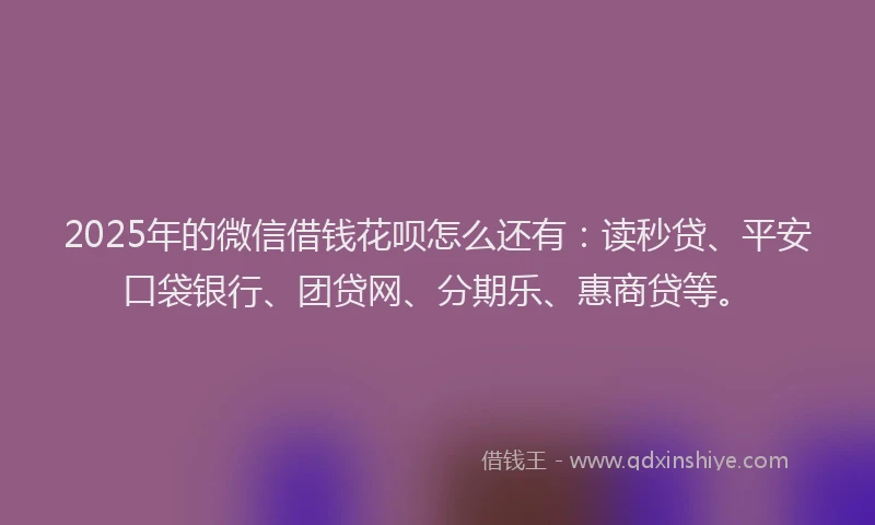 2025年的微信借钱花呗怎么还有：读秒贷、平安口袋银行、团贷网、分期乐、惠商贷等。