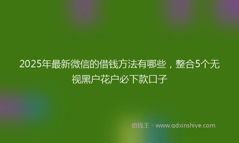 2025年最新微信的借钱方法有哪些，整合5个无视黑户花户必下款口子