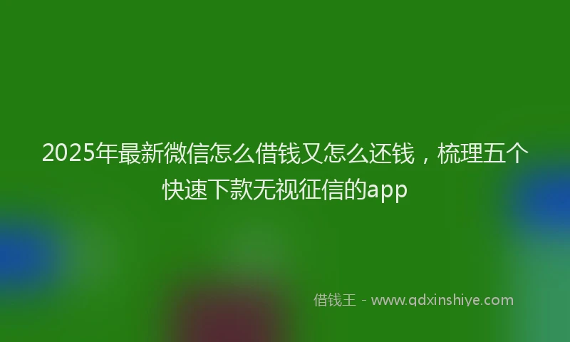 2025年最新微信怎么借钱又怎么还钱，梳理五个快速下款无视征信的app