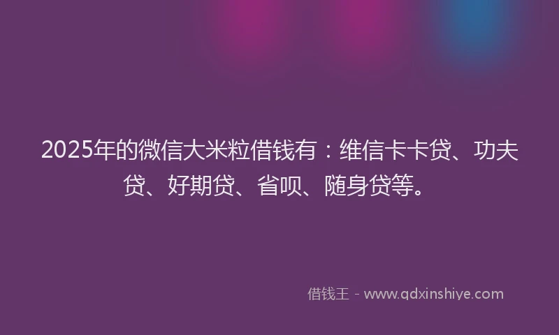 2025年的微信大米粒借钱有：维信卡卡贷、功夫贷、好期贷、省呗、随身贷等。