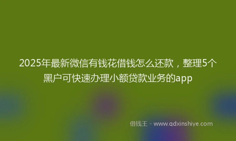 2025年最新微信有钱花借钱怎么还款，整理5个黑户可快速办理小额贷款业务的app