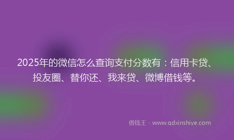 2025年的微信怎么查询支付分数有：信用卡贷、投友圈、替你还、我来贷、微博借钱等。