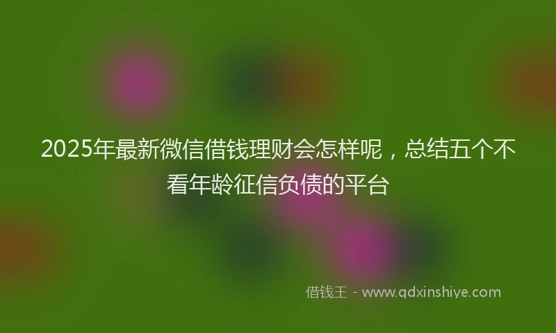 2025年最新微信借钱理财会怎样呢，总结五个不看年龄征信负债的平台