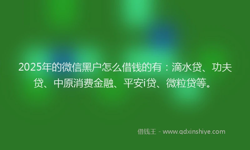 2025年的微信黑户怎么借钱的有：滴水贷、功夫贷、中原消费金融、平安i贷、微粒贷等。