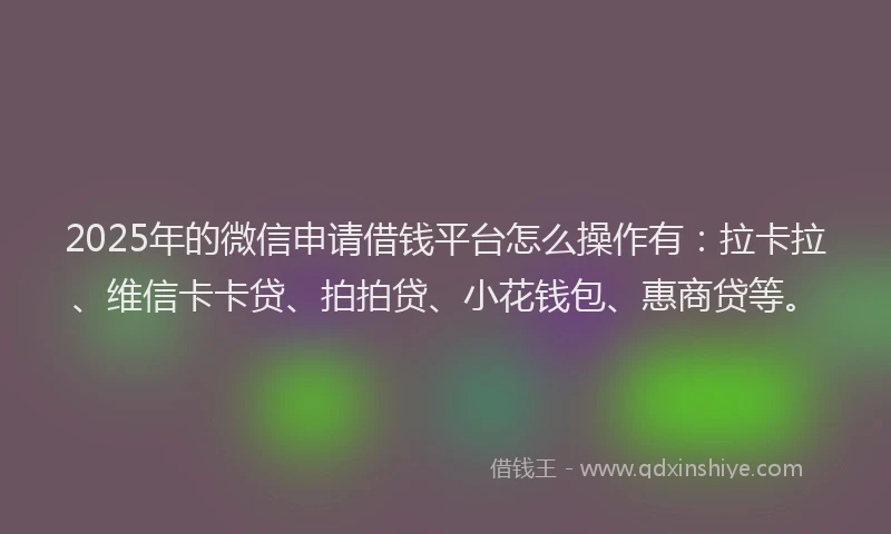 2025年的微信申请借钱平台怎么操作有：拉卡拉、维信卡卡贷、拍拍贷、小花钱包、惠商贷等。