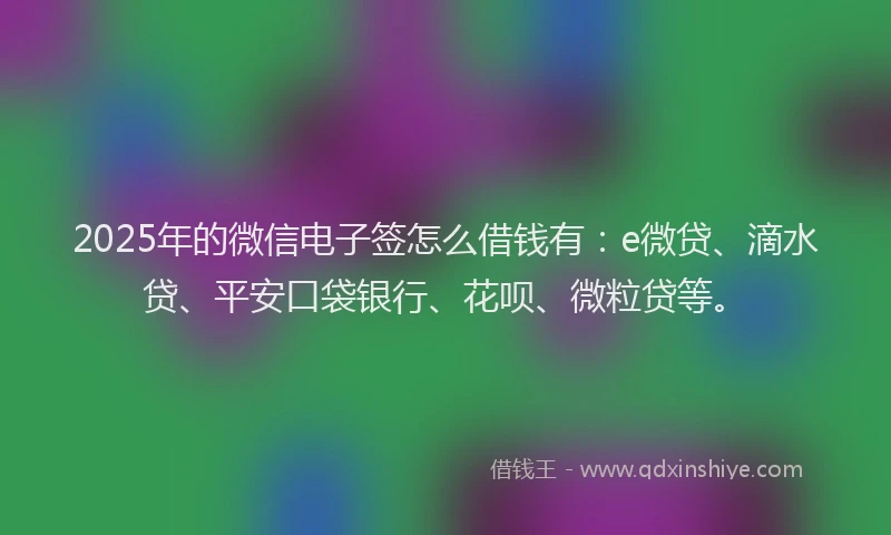 2025年的微信电子签怎么借钱有：e微贷、滴水贷、平安口袋银行、花呗、微粒贷等。