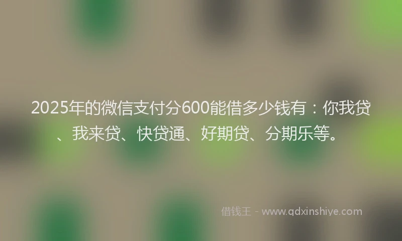 2025年的微信支付分600能借多少钱有：你我贷、我来贷、快贷通、好期贷、分期乐等。