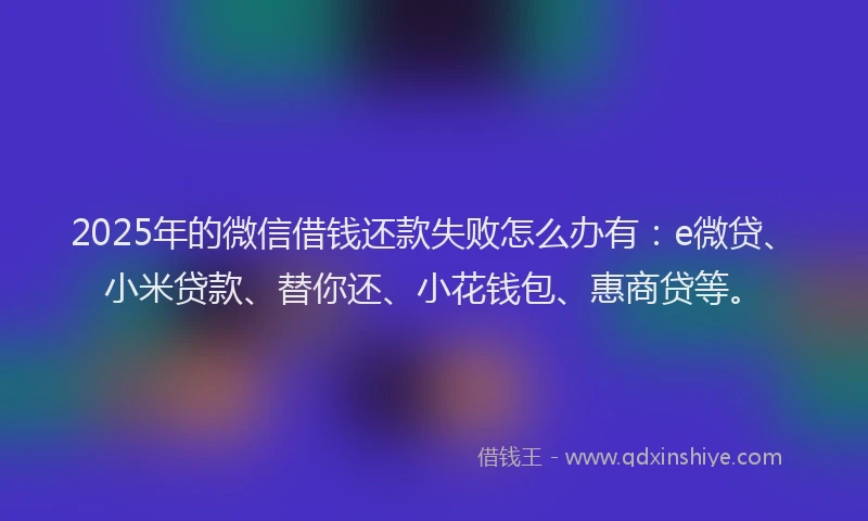 2025年的微信借钱还款失败怎么办有：e微贷、小米贷款、替你还、小花钱包、惠商贷等。