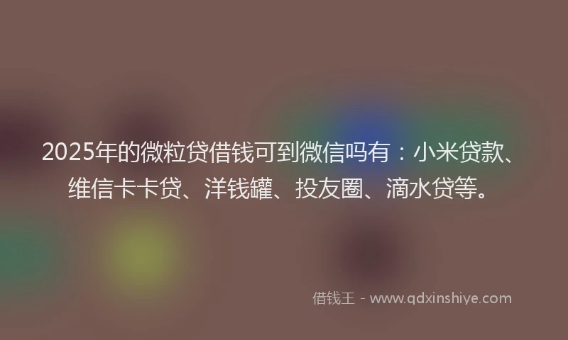 2025年的微粒贷借钱可到微信吗有：小米贷款、维信卡卡贷、洋钱罐、投友圈、滴水贷等。