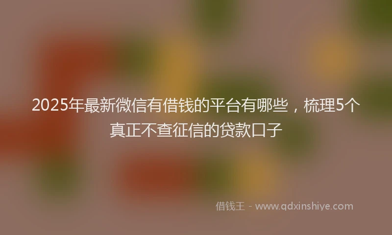 2025年最新微信有借钱的平台有哪些，梳理5个真正不查征信的贷款口子