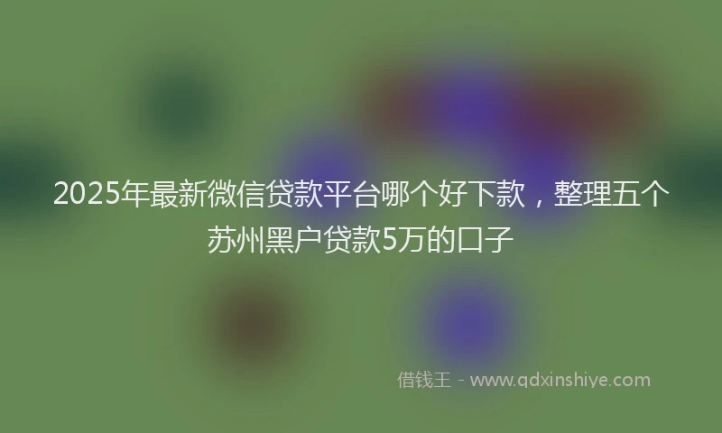 2025年最新微信贷款平台哪个好下款，整理五个苏州黑户贷款5万的口子
