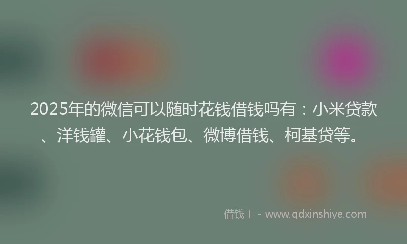 2025年的微信可以随时花钱借钱吗有：小米贷款、洋钱罐、小花钱包、微博借钱、柯基贷等。