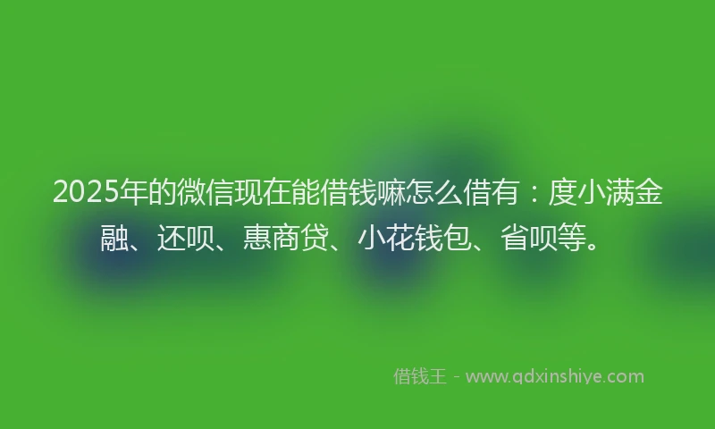 2025年的微信现在能借钱嘛怎么借有：度小满金融、还呗、惠商贷、小花钱包、省呗等。
