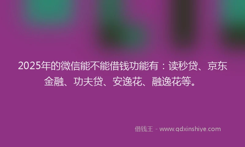 2025年的微信能不能借钱功能有：读秒贷、京东金融、功夫贷、安逸花、融逸花等。