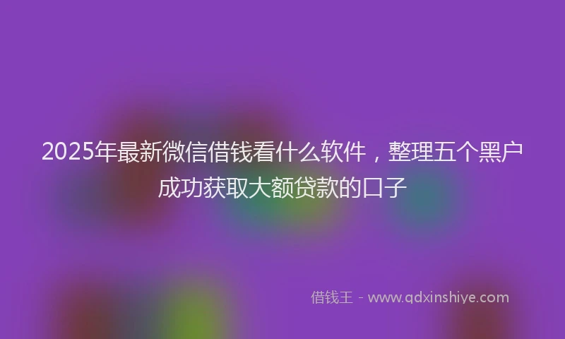 2025年最新微信借钱看什么软件，整理五个黑户成功获取大额贷款的口子