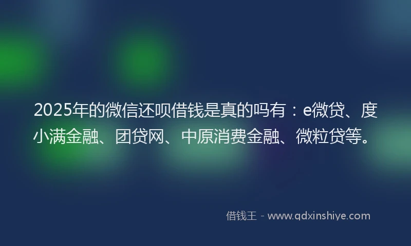 2025年的微信还呗借钱是真的吗有：e微贷、度小满金融、团贷网、中原消费金融、微粒贷等。