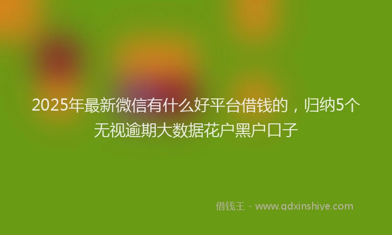 2025年最新微信有什么好平台借钱的，归纳5个无视逾期大数据花户黑户口子