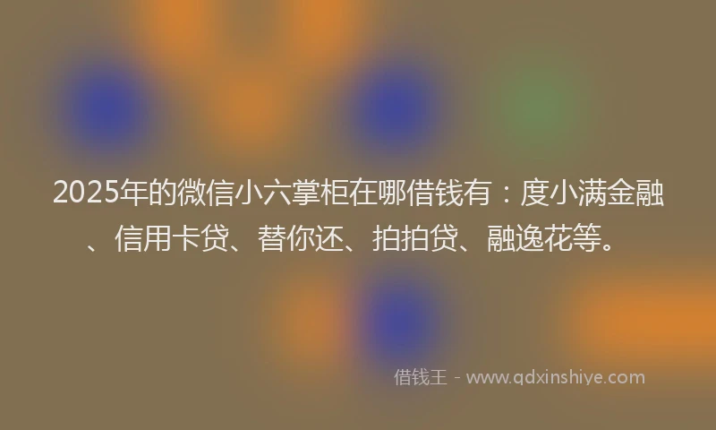2025年的微信小六掌柜在哪借钱有：度小满金融、信用卡贷、替你还、拍拍贷、融逸花等。