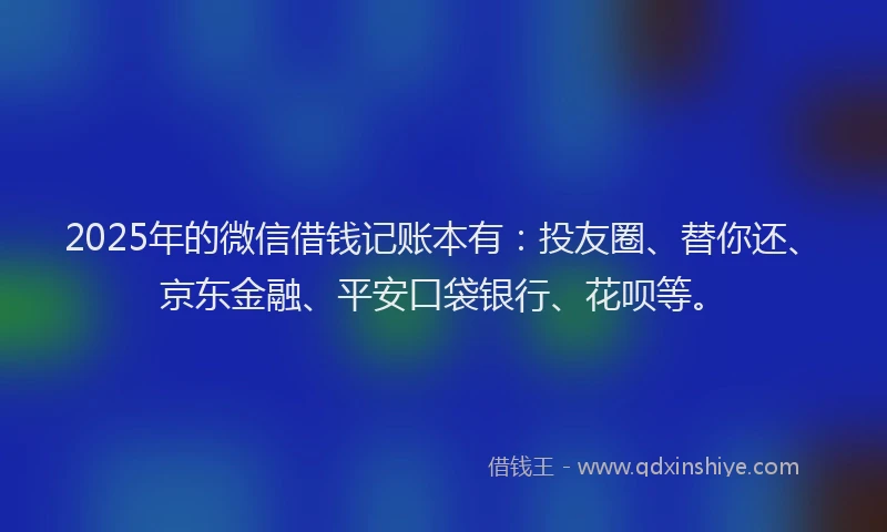 2025年的微信借钱记账本有：投友圈、替你还、京东金融、平安口袋银行、花呗等。