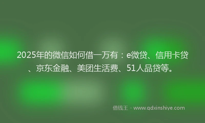 2025年的微信如何借一万有：e微贷、信用卡贷、京东金融、美团生活费、51人品贷等。