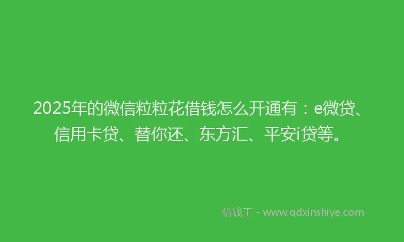 2025年的微信粒粒花借钱怎么开通有：e微贷、信用卡贷、替你还、东方汇、平安i贷等。