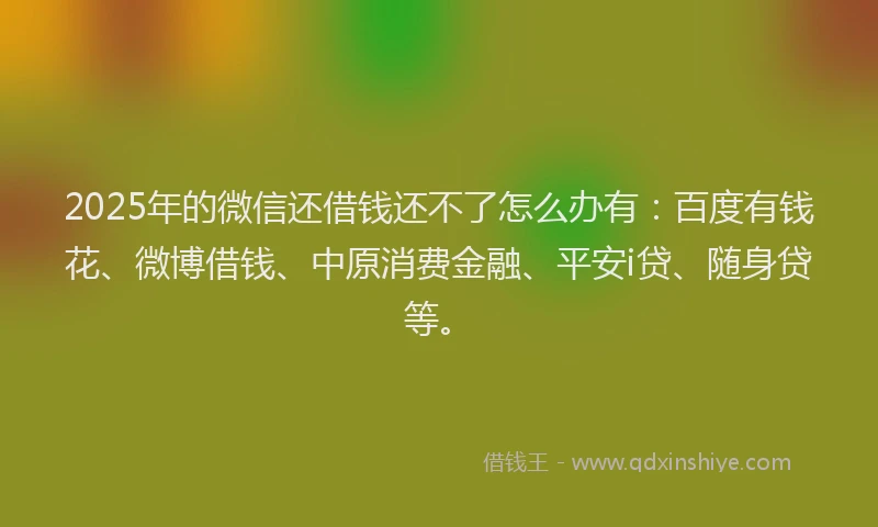 2025年的微信还借钱还不了怎么办有：百度有钱花、微博借钱、中原消费金融、平安i贷、随身贷等。