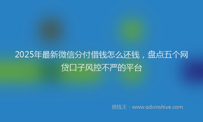 2025年最新微信分付借钱怎么还钱，盘点五个网贷口子风控不严的平台