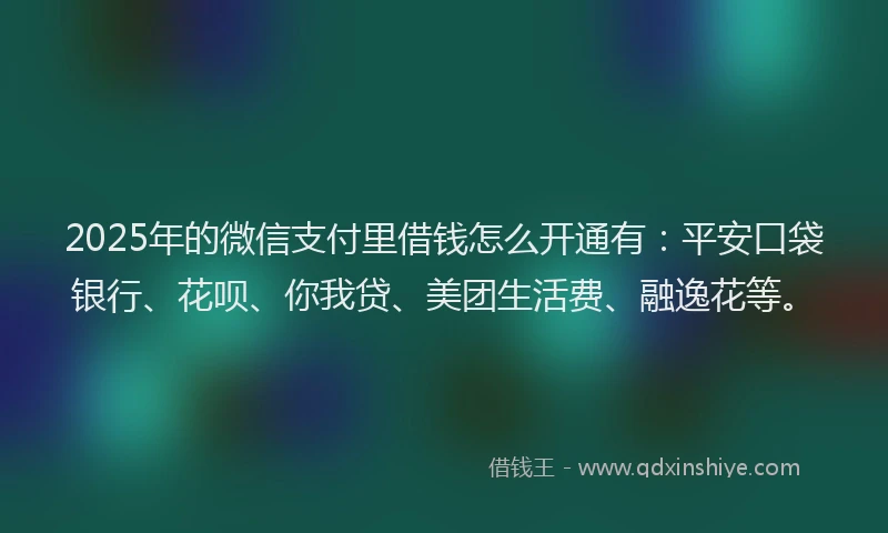 2025年的微信支付里借钱怎么开通有：平安口袋银行、花呗、你我贷、美团生活费、融逸花等。